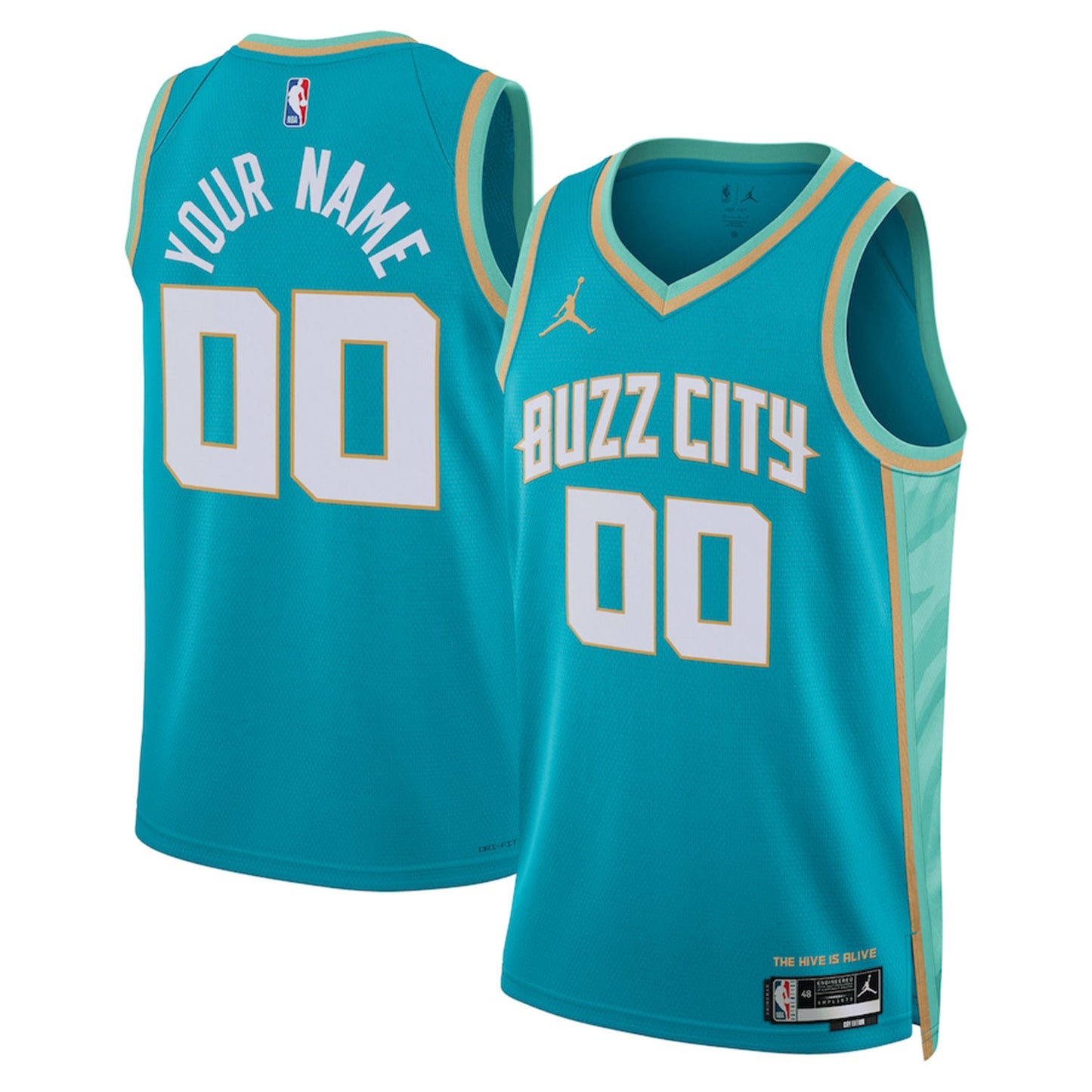 NBA Charlotte Hornets Blank Custom Jersey