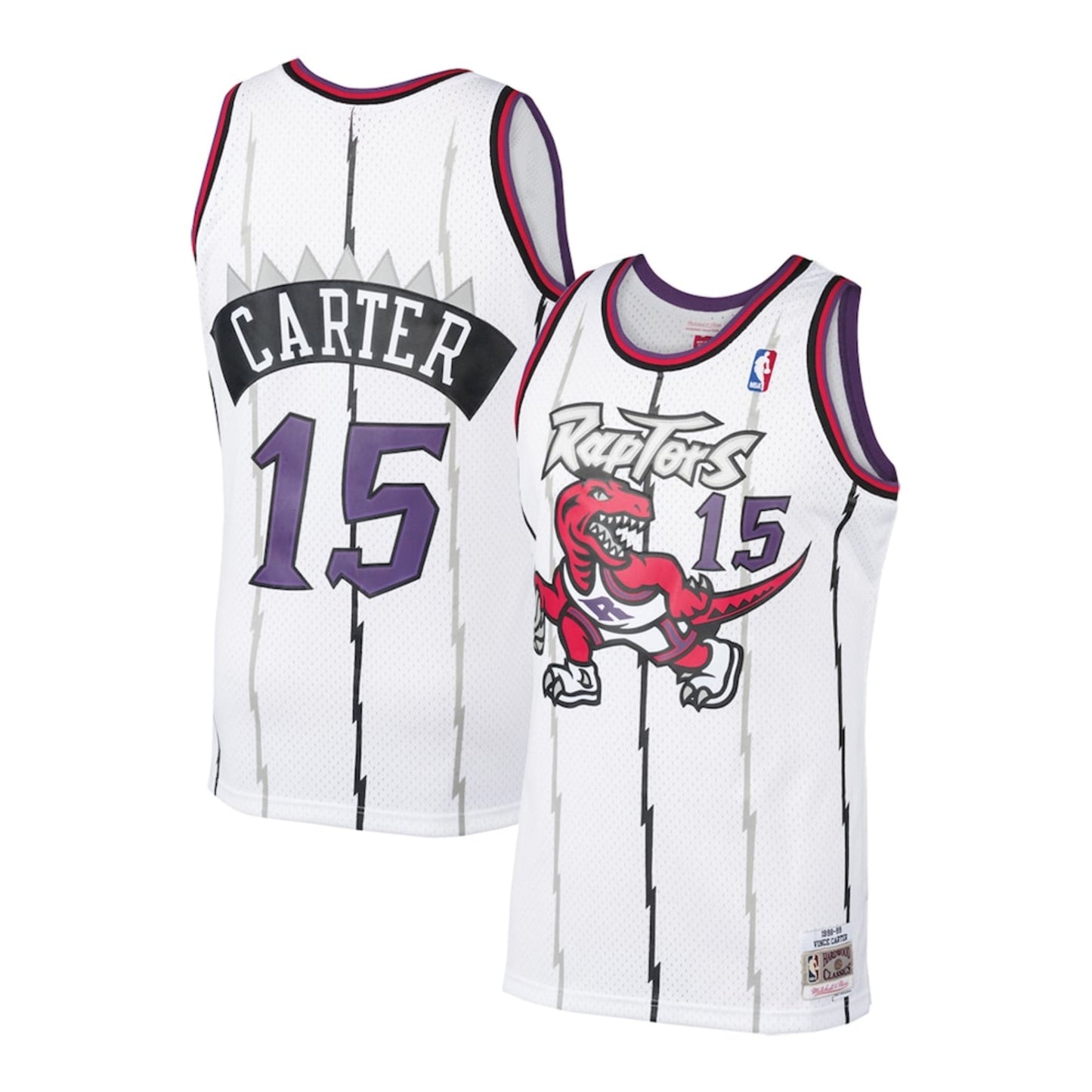 NBA Vince Carter Toronto Raptors 15 Jersey