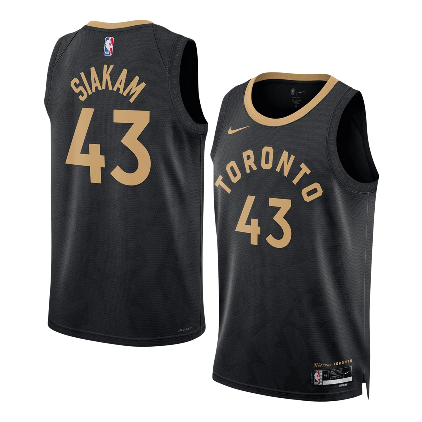 NBA Pascal Siakam Toronto Raptors 43 Jersey